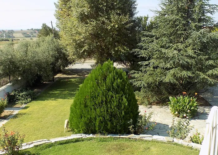 Orestis Melina * Néa Iráklia